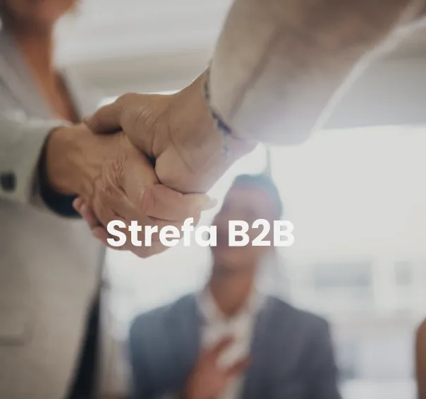 Strefa B2B