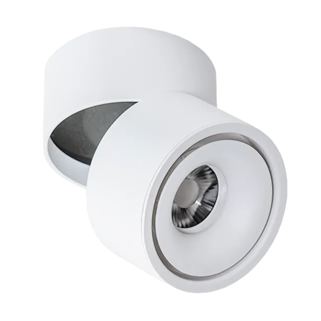 COSTA 12W CCT SWITCH BK