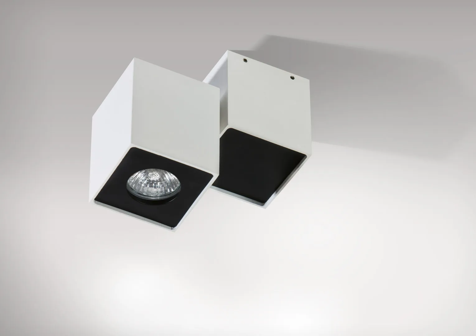 FLAVIO 1 WH/BK PLAFON