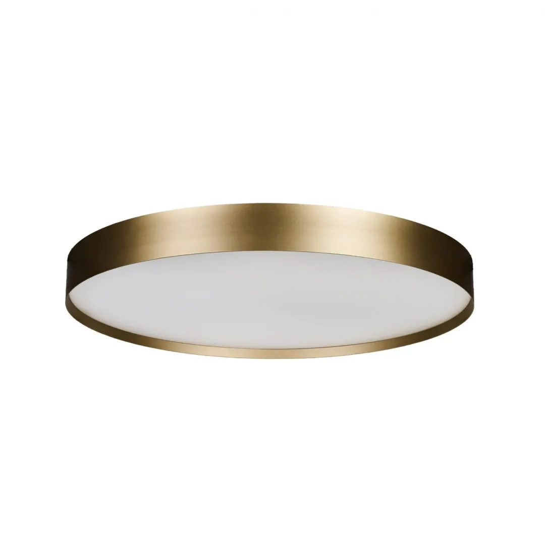 RANT 80 CCT SWITCH DIMM GO