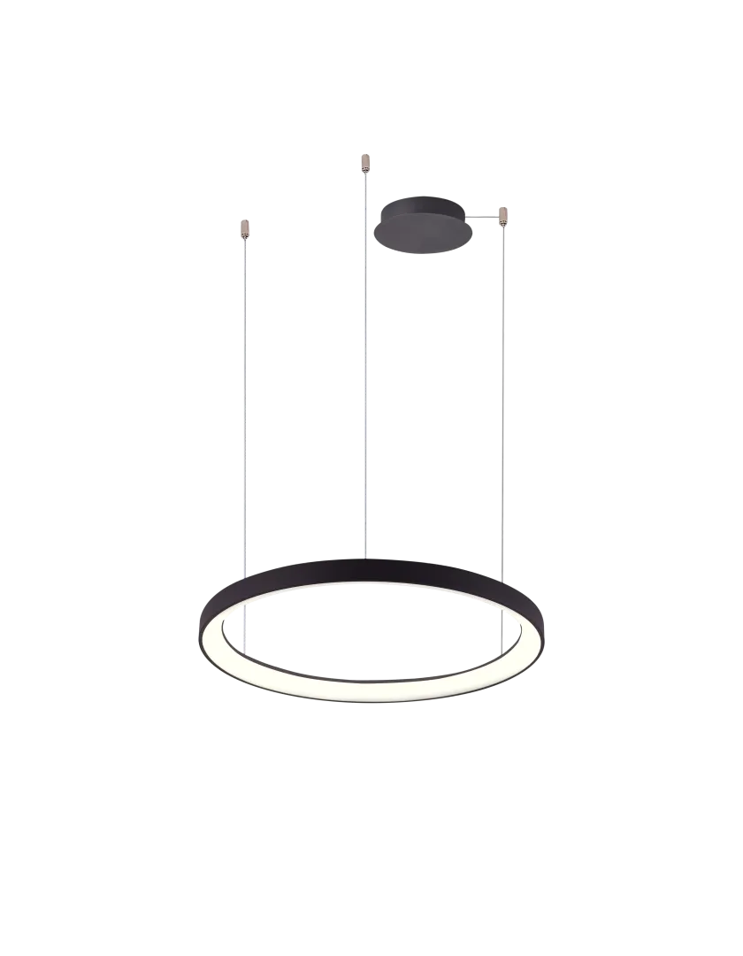 AGNES PENDANT 48 DIMM CCT SWITCH BK